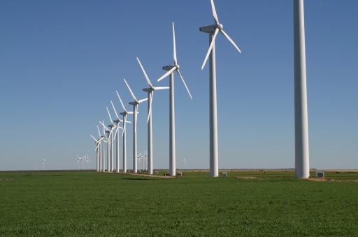 Wind-Farm